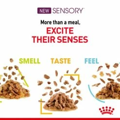 Royal Canin Sensory Variety Multipack In Gravy Wet Adult Cat Food -Cat shop po3sktkdtt4qvcqggncd iagnaa