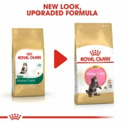 Royal Canin Maine Coon Dry Kitten Cat Food -Cat shop poar2uunlqcbpa64pd6e uz84wi