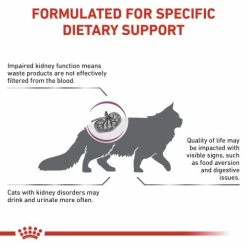 Royal Canin Veterinary Diets Renal Dry Adult Cat Food -Cat shop qgayfap5jh3pzk0bqked nwikki
