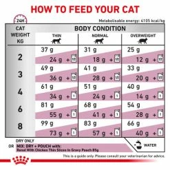 Royal Canin Veterinary Diets Renal Select Dry Adult Cat Food -Cat shop qoie1dxeigzvjetjhehh gwaoe5
