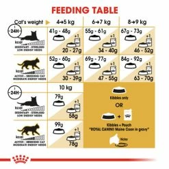 Royal Canin Maine Coon Dry Adult Cat Food -Cat shop ra2wm2o2mwgdykyljkou zr3khj