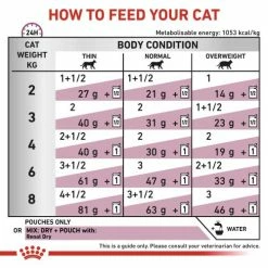 Royal Canin Veterinary Diets Renal In Loaf Wet Adult Cat Food -Cat shop rmmhvvhex7nplomnztzo sskwyo
