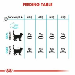 Royal Canin Urinary Care Dry Adult Cat Food 12 Royal Canin Urinary Care Dry Adult Cat Food -Cat shop syl7wxzrwqypl9sz9n4o bez6uw