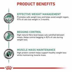 Royal Canin Veterinary Diets Satiety Weight Management Support Dry Adult Cat Food 13 Royal Canin Veterinary Diets Satiety Weight Management Support Dry Adult Cat Food -Cat shop tsryjlswsexc5pptstuj qshlgb
