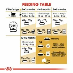 Royal Canin Persian Kitten Dry Cat Food -Cat shop uco0kiakqrvxm1etr1nc anjs2f