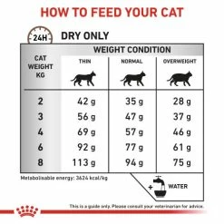 Royal Canin Veterinary Diets Gastrointestinal Hairball Dry Adult Cat Food -Cat shop urda1ykdyz7asesgax3i slnzvr
