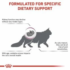 Royal Canin Veterinary Diets Early Renal Dry Adult Cat Food -Cat shop vcpvlzexh2worfhvnfqe qfi1sa