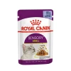 Royal Canin Sensory Smell In Jelly Wet Adult Cat Food -Cat shop vf4cmbtsrligifbzoe8t slfnyp