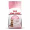 Royal Canin Sterilised Dry Kitten Cat Food -Cat shop vnezynmrwxkweiubz3wt nje4od