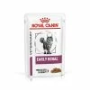 Royal Canin Veterinary Diets Early Renal In Gravy Wet Adult Cat Food