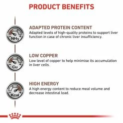 Royal Canin Veterinary Diets Hepatic Dry Adult Cat Food -Cat shop x7kov9bgugnc53q8azyh e1urrh