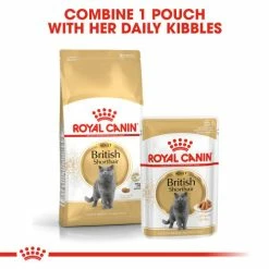 Royal Canin British Shorthair In Gravy Adult Wet Cat Food Pouches -Cat shop xacvcwggdklq9u1votgp sv6gql
