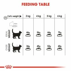 Royal Canin Oral Care Dry Adult Cat Food -Cat shop xlhm1q1iacjnstyaa6hw m55qaf