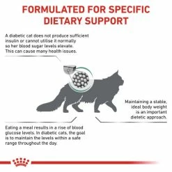 Royal Canin Veterinary Diets Diabetic Dry Adult Cat Food -Cat shop xooy5b783l6aifbaz2xu zciast