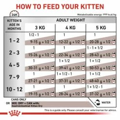 Royal Canin Veterinary Diets Gastrointestinal Kitten Wet Cat Food -Cat shop ybcnu0pakrqnpvwhytoz ge3arj