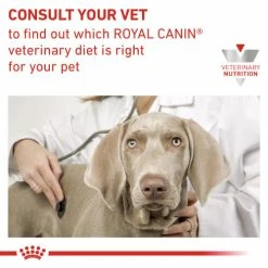 Royal Canin Veterinary Diets Feline & Canine Recovery Mousse Wet Food -Cat shop yzttzfphr4labs8ai4v9 mb3kqx