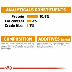 Royal Canin Intense Beauty Care In Jelly Adult Wet Cat Food Pouches -Cat shop z1kr4cugxzcpwzynfqww vahbau